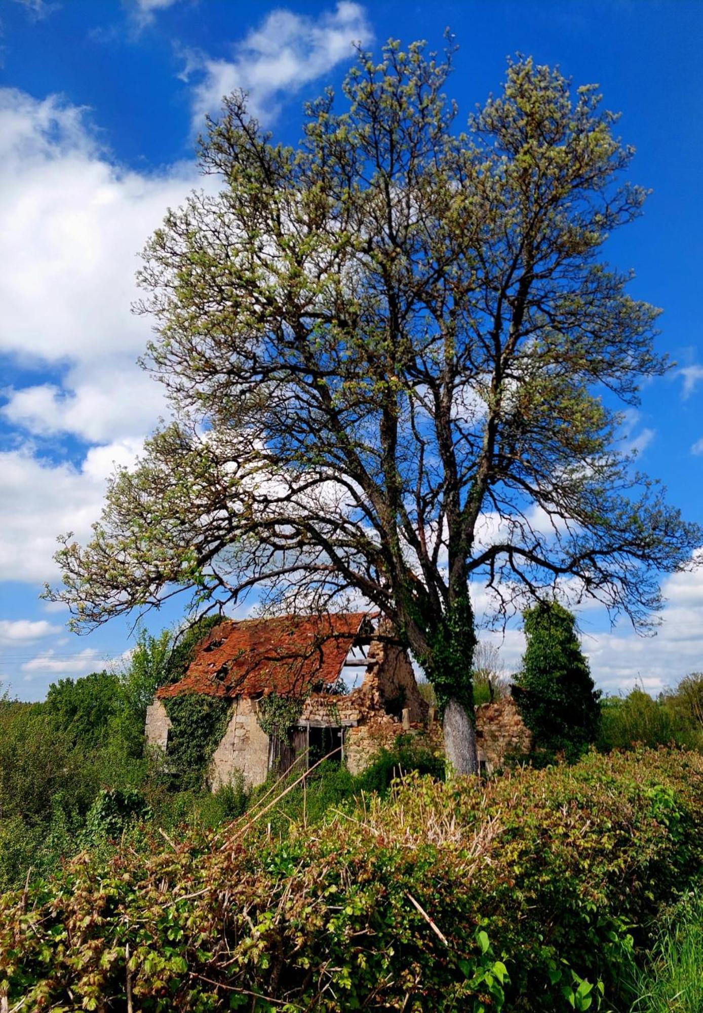 Maison Du Grand Moulin Saint-Aubin-en-Charollais Buitenkant foto